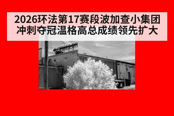2026环法第17赛段波加查小集团冲刺夺冠温格高总成绩领先扩大