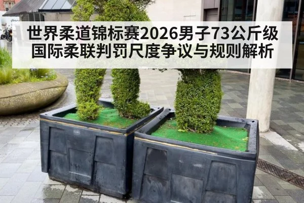 世界柔道锦标赛2026男子73公斤级 国际柔联判罚尺度争议与规则解析
